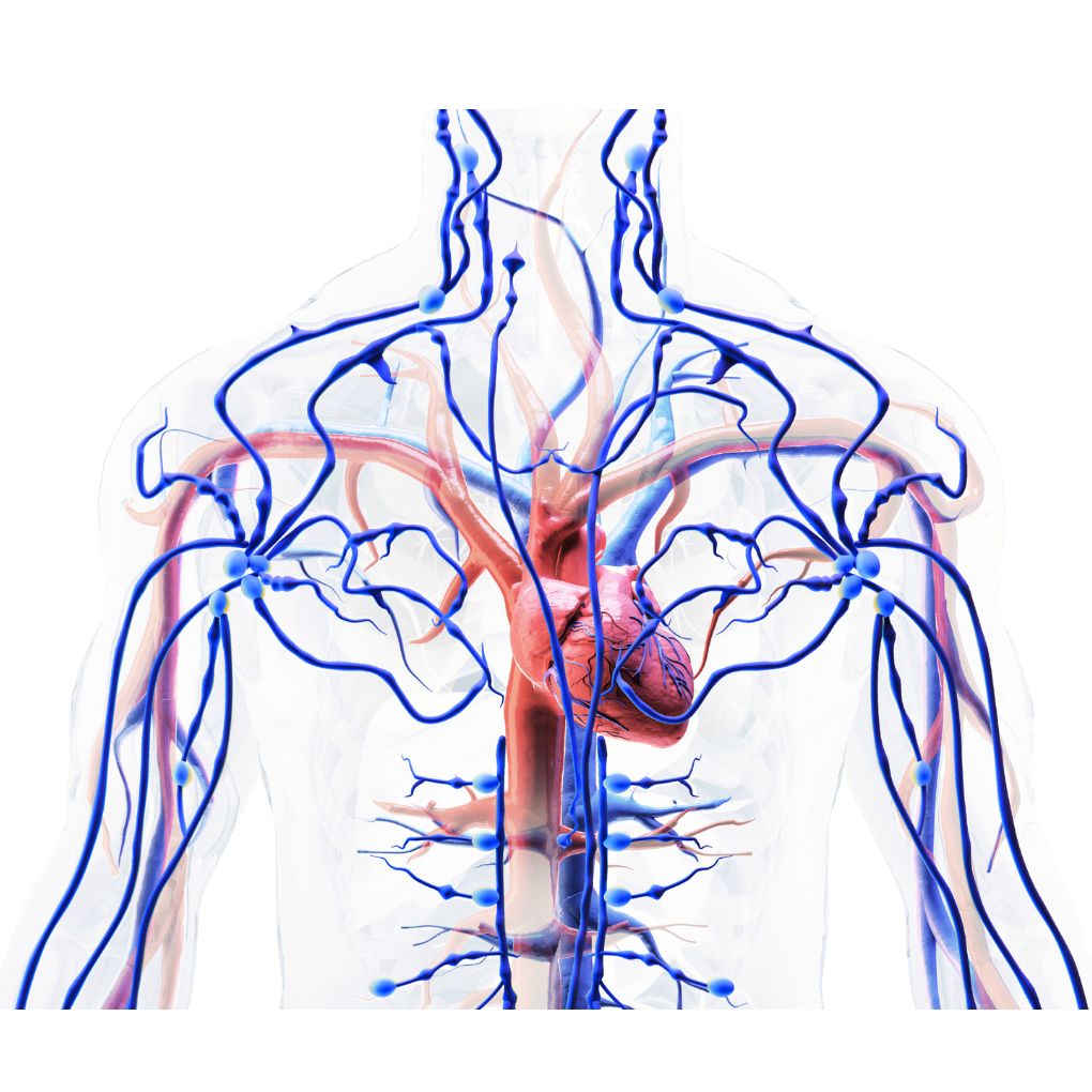 Neurological Treatment dubai